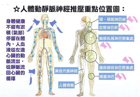 人體磁場|人體磁場和增加人體磁場的科學練法